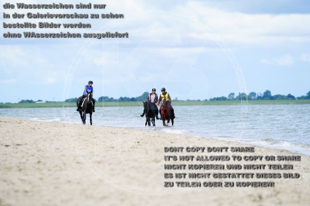 s_K3F05076.JPG